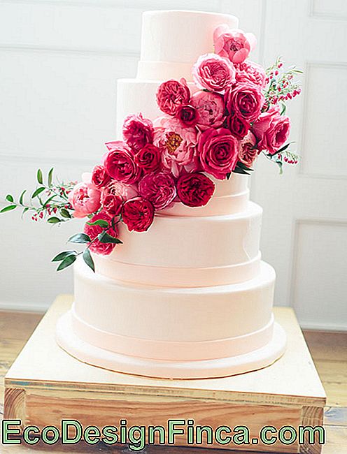 Wedding Cake: 45 Wonderful Ideas to Be Inspired: ideas