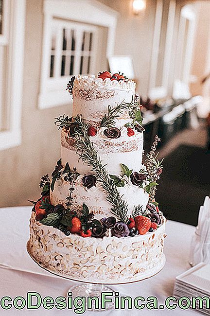 Wedding Cake: 45 Wonderful Ideas to Be Inspired: inspired