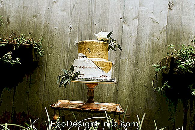 Wedding Cake: 45 Wonderful Ideas to Be Inspired: wedding