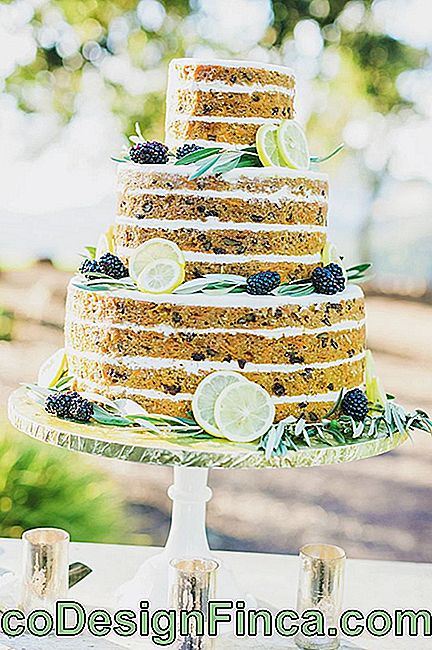 Wedding Cake: 45 Wonderful Ideas to Be Inspired: wedding