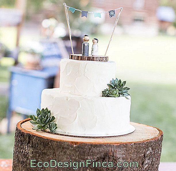 Wedding Cake: 45 Wonderful Ideas to Be Inspired: cake