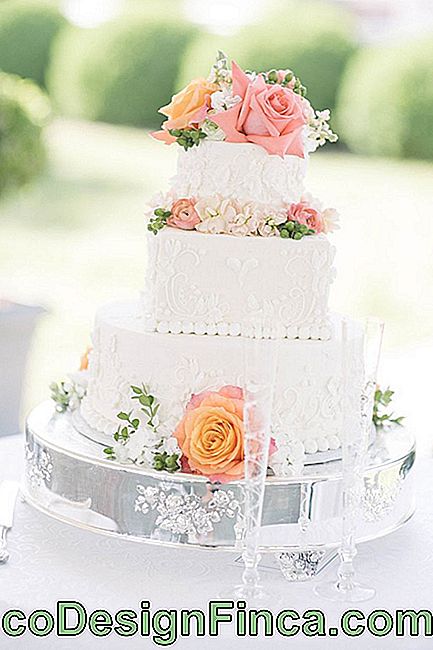 Wedding Cake: 45 Wonderful Ideas to Be Inspired: inspired