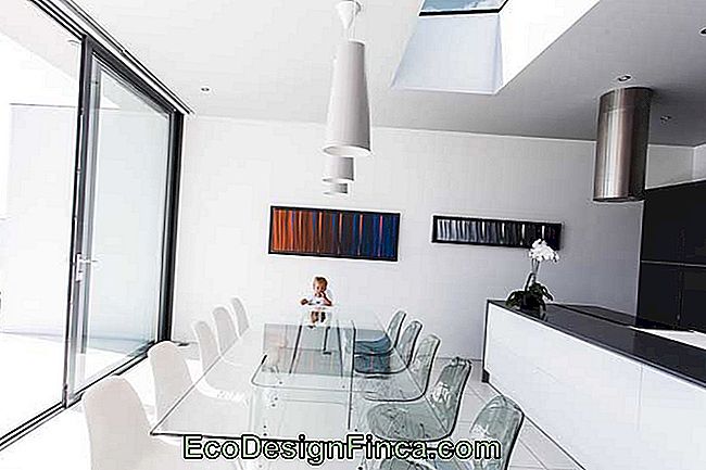 Moderne og elegant spisestue med glasbord og sammensætning af stole Eames Eiffel akryl og hvid plast