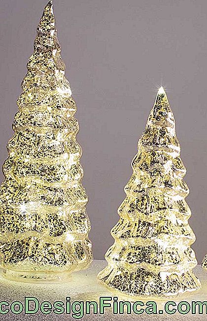 Det gyldne juletreet har en lysstyrke og et naturlig lys, som kombinerer veldig bra med dekorasjonen av den tiden