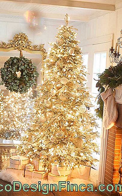 Ren glamour denne juledekorasjonen med det gylne treet og helt opplyst