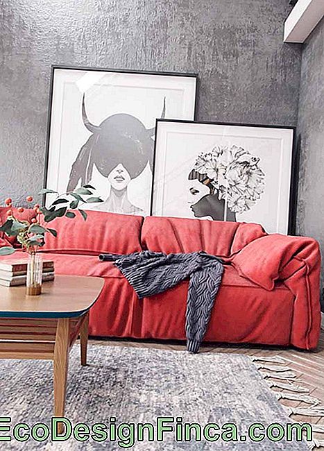 Combinazione di colori per la stanza feng-shui: forza ed energia stimolano questa stanza con il rosso vivo del divano