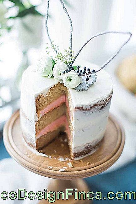 Sekret dobrego ciasta to być pięknym na zewnątrz i pysznym w środku