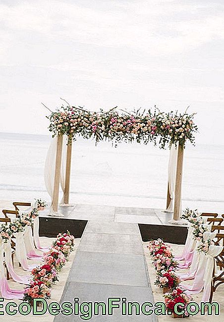 Dekoracja ślubna na plaży: Inspirujące wskazówki: dekoracja