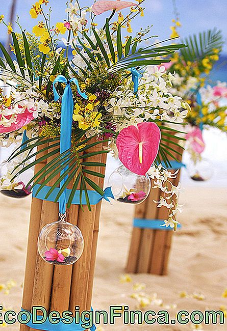 Beach Wedding Decoration: inspirerende tips: inspirerende