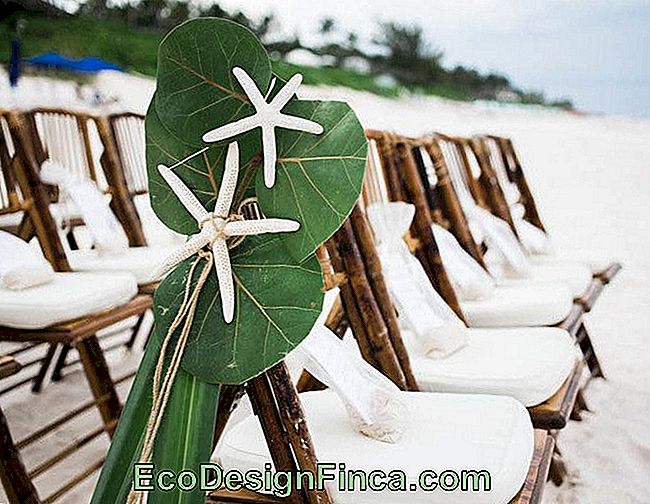 Beach Wedding Decoration: inspirerende tips: wedding