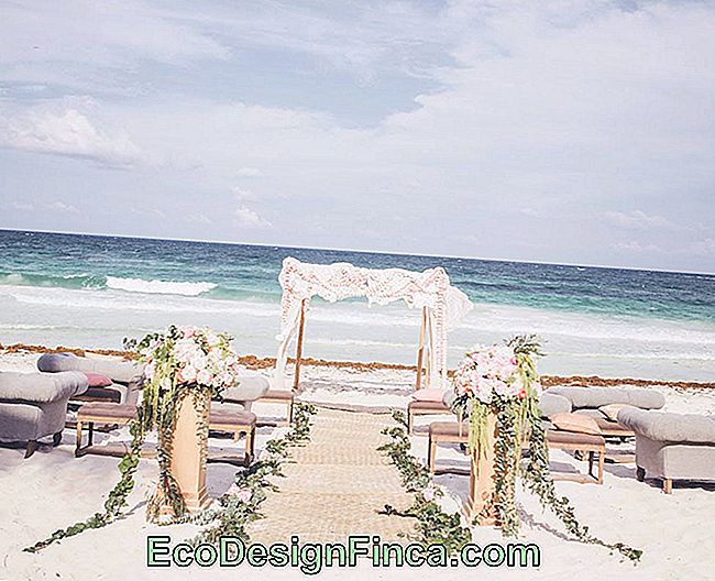 Dekoracja ślubna na plaży: Inspirujące wskazówki: ślubna