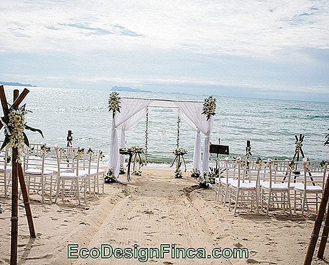 Dekoracja ślubna na plaży: Inspirujące wskazówki: Zdjęcie