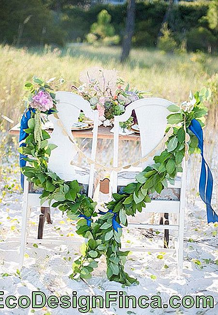 Beach Wedding Decoration: inspirerende tips: tips