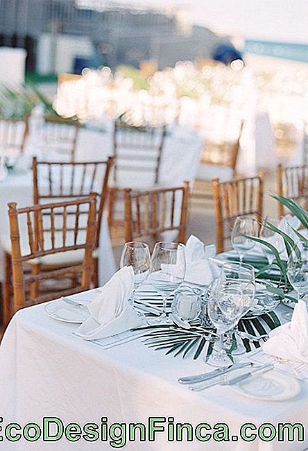 Decoración de boda en la playa: consejos inspiradores: playa