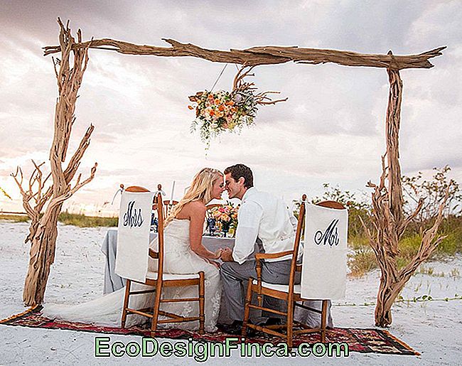 Beach Wedding Decoration: inspirerende tips: tips