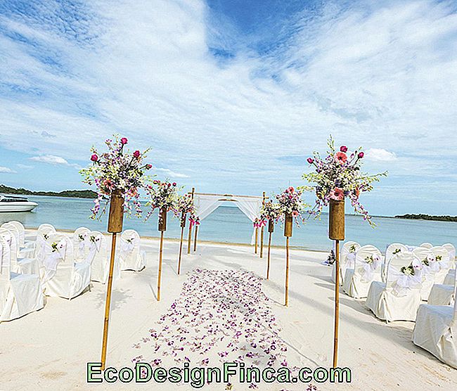 Beach Wedding Decoration: inspirerende tips: tips