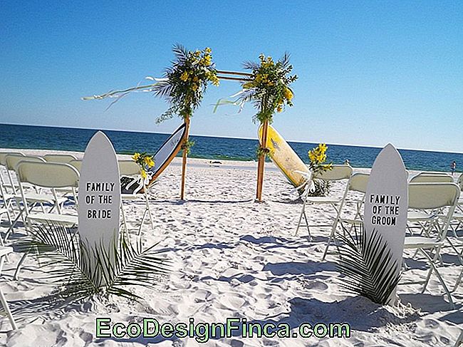 Beach Wedding Decoration: inspirerende tips: inspirerende