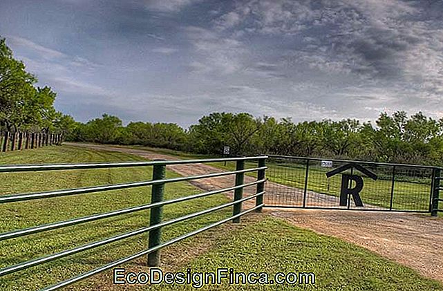 Cancello della fattoria Gated seguendo il colore verde della recinzione