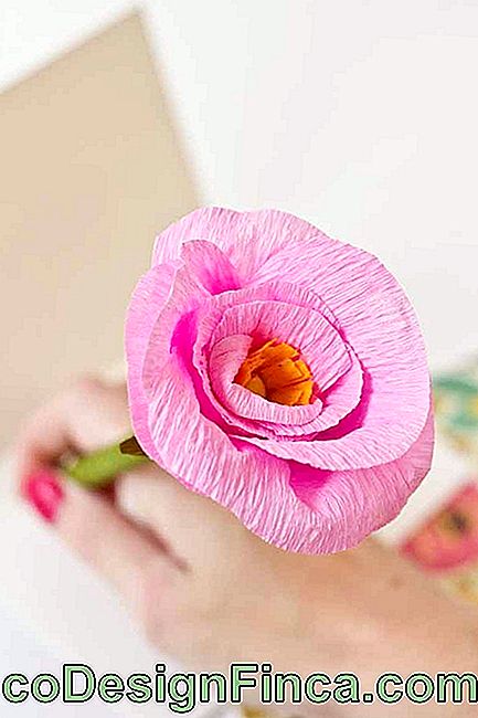 Crepe papir tekstur er ideel til fremstilling af kunstige blomster
