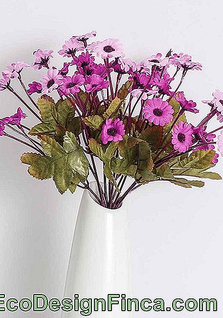 Små, delikate blomster; bemærk at den nuværende hvide vase var grundlæggende for arrangementets skønhed
