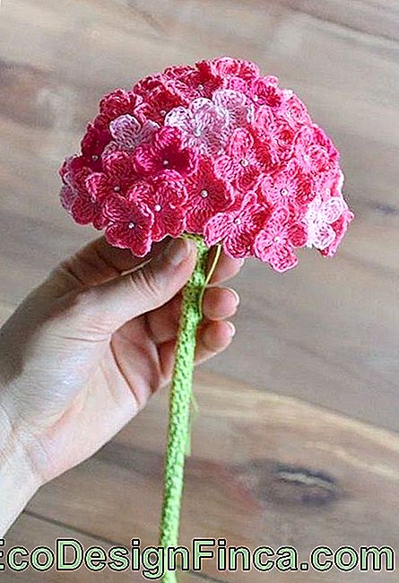 Fleurs Au Crochet 125 Modèles Photos Et Soluces 🏡 Décoration 8342