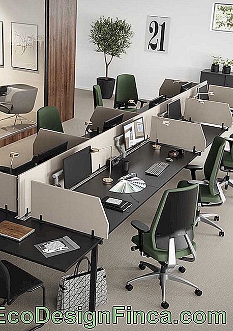 Møbler for et tradisjonelt kontor, med komfortable stoler og lange boder; Fremhev stolpenes mosegrønne tone
