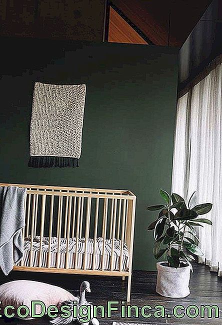 Grønt soverom: Guide til å dekorere rommet med denne fargen: guide