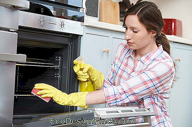 How to clean oven: types of oven