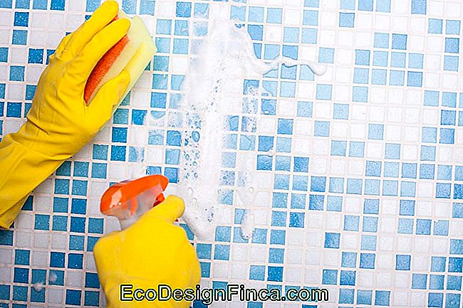 Banyo Çini Nasıl Temizlenir: 9 Yolları ve Pratik İpuçları - çini Çok Amaçlı Ürünler ile Banyo Çini Nasıl Temizlenir