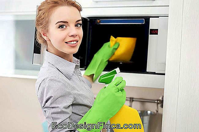 Kobieta robi czyszczenie mikrofalowe