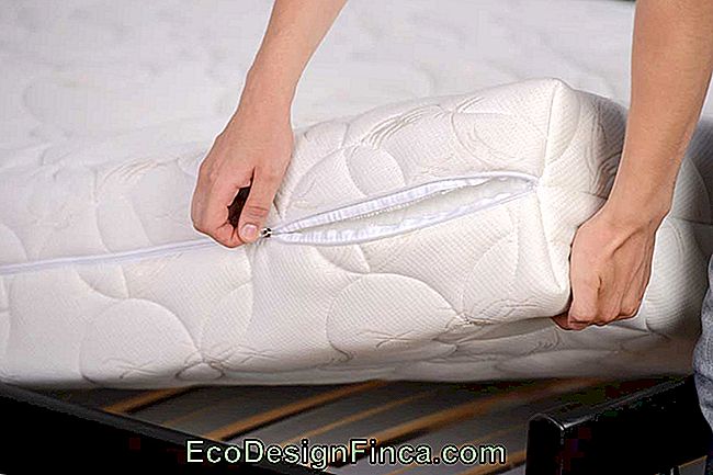 How To Clean Mattress: 9 Steps And Tips To Remove Stains