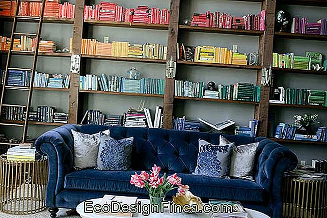 Plaukts, kas uzstādīts, lai rotātu istabu ar krāsainām grāmatām