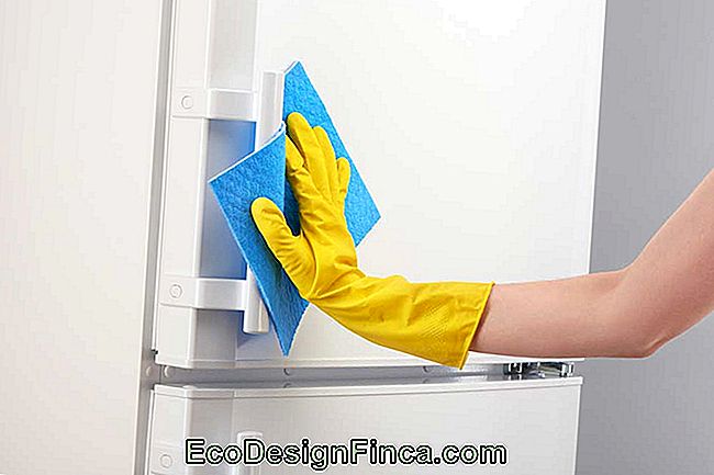 Preparation for refrigerator painting