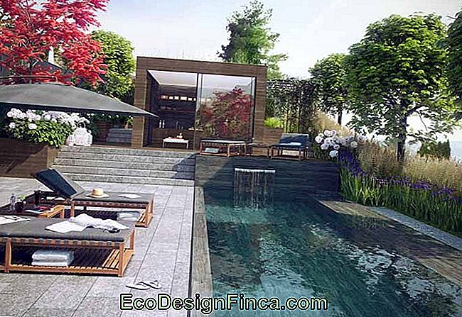Paisajismo: Lo Que Es, Diferencia Entre Jardinería Y Consejos 🏡 Decoración