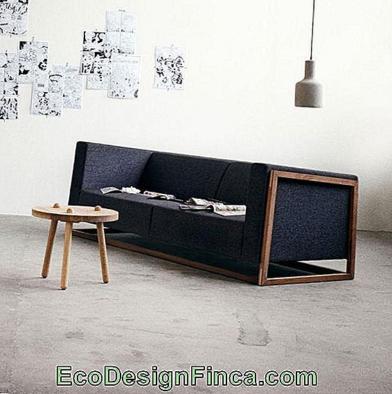 Træ sofaer modeller: sofaer