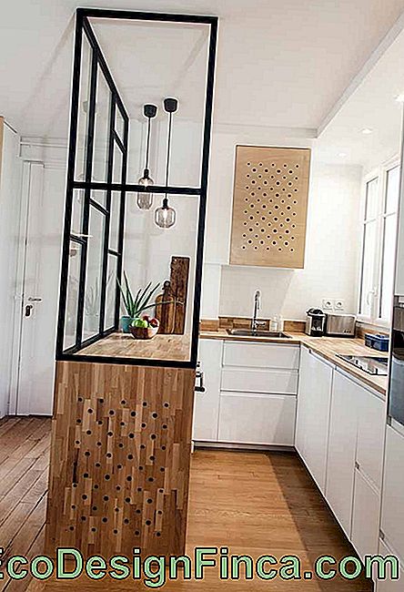 Planowane małe mieszkanie kuchenne: zobacz wskazówki dotyczące zdobienia i zdjęć: mieszkanie