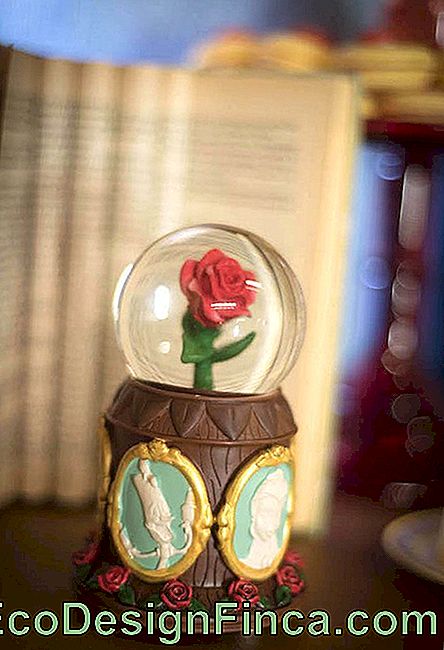 Wereldbol met roos om de tafel te versieren