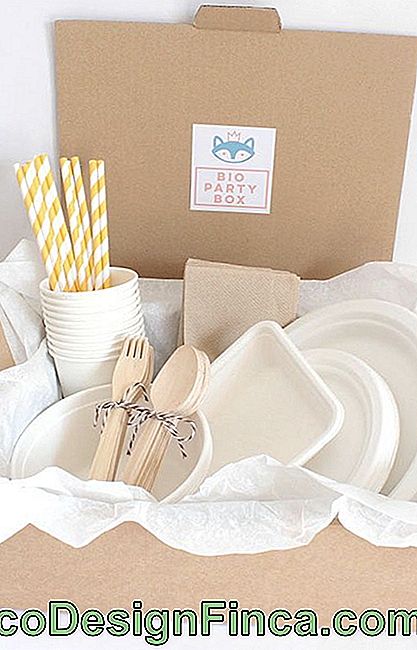 Utensils for party in the box: can not miss!