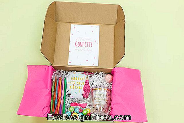 Party in the box: know what it is, how to do it and creative ideas to get inspired: know