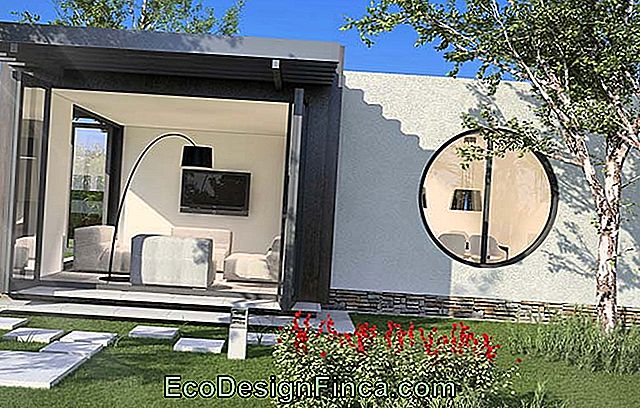 Small, modern and minimalist house