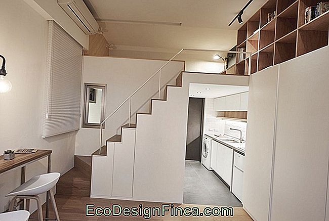 Small house with mezzanine and decoration in shades of white and woody