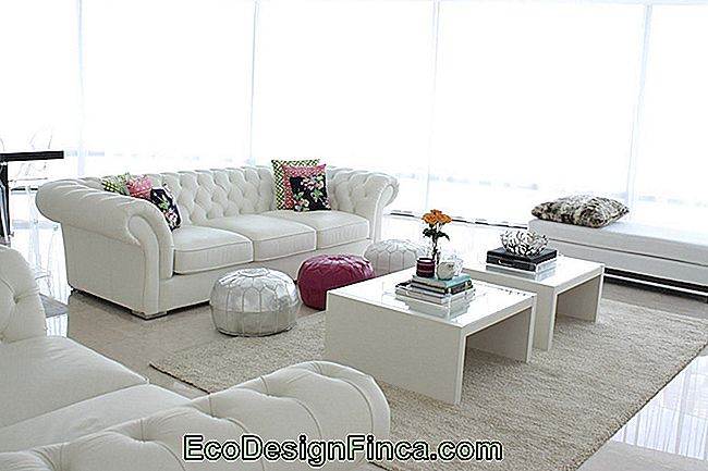 hvid sofa-12