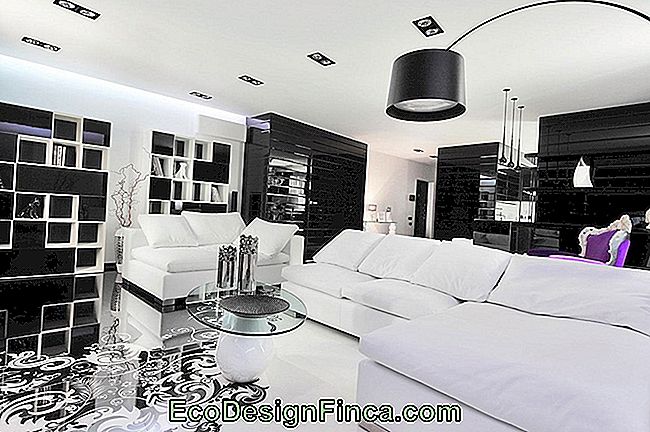 hvid sofa-41