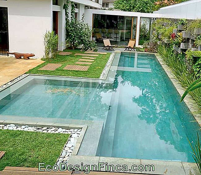 Piscina Con Borde Infinito Cómo Funciona Y Proyectos Para Inspirarse 🏡