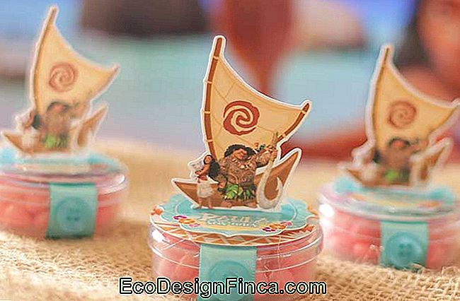 Moana Souvenirs: 60 Creative Ideas And How To Make Your Own