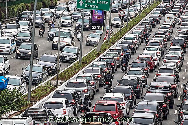 Stedelijke mobiliteit: wat is het, waar is het voor en de belangrijkste problemen in Brazilië: waar