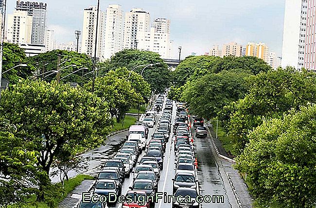 Verkeer in São Paulo
