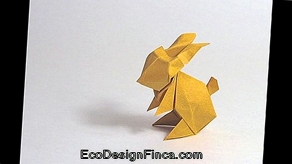 Kanin Origami, Dekorere Med Håndklæder!