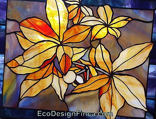 Stained Glass Flower Cell