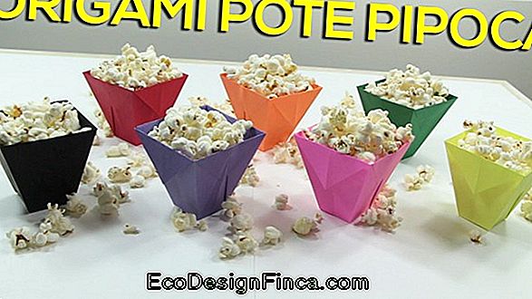 São João: Eva Box Popcorn Box